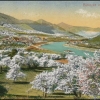 Sebuzín 1915